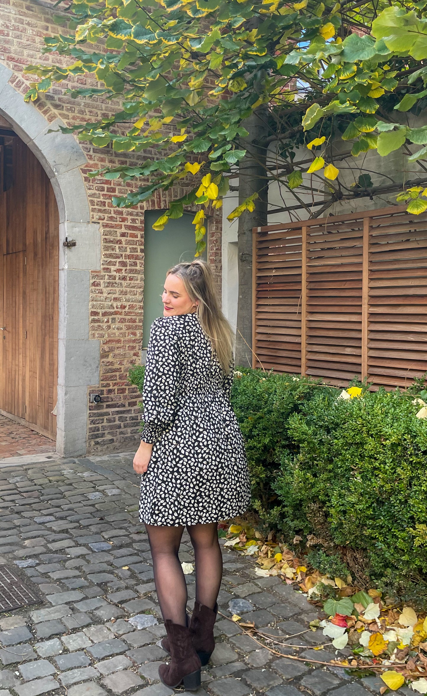 Robe Zèbre